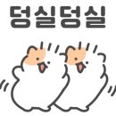 영통유도체육관 이미지