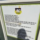 댕그라운드 | 기장 애견카페 &#34;댕그라운드&#34; 내돈내산 리얼후기