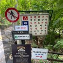 개나리산장 이미지