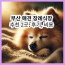 펫더헤븐 | 부산 애견 장례식장 추천 2곳 | 부산 반려동물 장례 비용, 후기, 추천