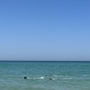 호텔욜로(YOLO) 이미지