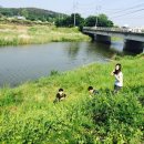 산방천 이미지