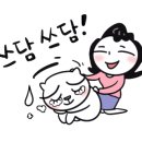 닥터리켐회복필라테스 네이버블로그