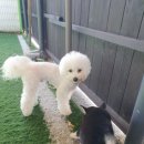 씽크독스쿨 이미지