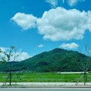 「손상된 행성에서 더 나은 파국을 상상하기」 북토크 이미지