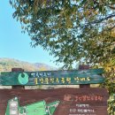 신성사거리~진천IC | 백곡 저수지 물안뜰 수변 산책로 따라 걷고, 진천 곰가내 쌀밥집 청국장으로 건강한 한끼