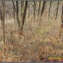 논산보건진료소 이미지