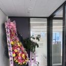 6726 | 미아역미용실 삼양역미용실 결 미아점 차현 디자이너 모발클리닉 후기