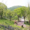 국립유명산자연휴양림 이미지