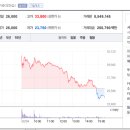 (주)스코넥엔터테인먼트 이미지