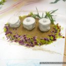 도봉서원종합사회복지관 이미지