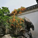 G7268 네이버블로그