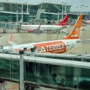 청사휴게점 | 제주항공 신규 취항 노선 고베 직항 탑승 후기 & 고베공항 입국 정보