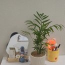 아이엘뷰티 - 순천시 | 아이엘뷰티