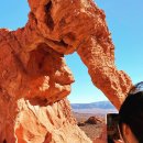 베스트 오브 벨리 이미지