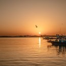 채석포항 이미지