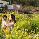 재하목장 이미지