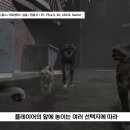 아이엠캣 이미지