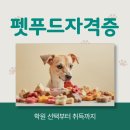 [기획강의] 노년기 건강식단관리 | 펫푸드 자격증 필기, 실기 정보와 공부 방법