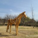 생명의 율동A 이미지