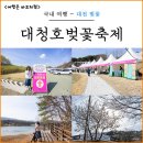 대전 벚꽃 명소 2025 대청호 벚꽃축제 개화 안한 첫날 모습 후기