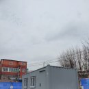 신도리코 디지텍정보 이미지