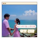 (주)신일투어관광 | 발리 4박6일 팜투어 패키지 신혼여행-2 (아야나 리조트, 우붓관광 몽키포레스트)