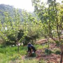 만복농장 이미지