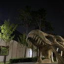 수색-003 이미지