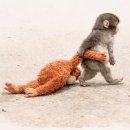 제니양품 | 학생복지스토어 아이폰17 구매 후기 | 쉬인 아이폰 케이스 추천 | 공차 자스민 코코 말차 신메뉴 후기...