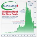 2024년 가장 인기 있는 AI 주식이었던 슈퍼마이크로가 폭락 이미지