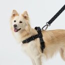 새한현대서비스㈜ | [2025 메가주 일산] 케이펫페어 주차 부스배치도 초대권 무료입장 이벤트 꿀팁 총정리