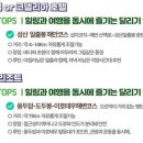 제주여행신호등