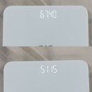 레몬의 꿈 | 홀베리 레몬즙 3달만에 16kg 뺀 리얼 내돈내산 후기