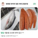 뎅뎅뎅 | 대전 궁동 맛집 뎅뎅뎅 연어와 덮밥 라멘 궁동본점