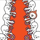 신비돌스 랙돌 캐터리 이미지