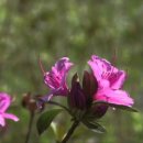 비발디 세탁소 이미지