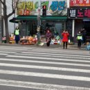 2019년 1월 교통캠페인 이미지