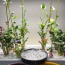 청자농장 이미지