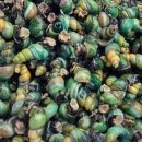 성진푸드 이미지