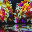 아트 스페이스(Art Space) 다스름 | [파타야/투어] 태국 우기에 가기 좋은 파타야 실내 여행지 '파도 미디어 아트 스페이스' 관람 후기