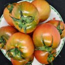 원이네농장 이미지