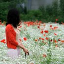 서희민박 이미지