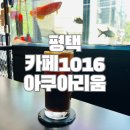 카페1016