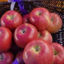 호원농장 이미지