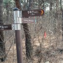 지내마을길 이미지