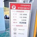 인천대공원 벚꽃축제 인천 벚꽃 명소, 4월 7일자 실시간 개화 상황 주차 텐트 정보