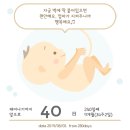 베베샤워