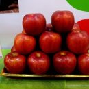 옥골농장 이미지