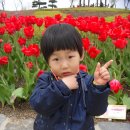 일곱색깔어린이집 이미지